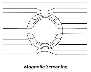 magnetic screenng