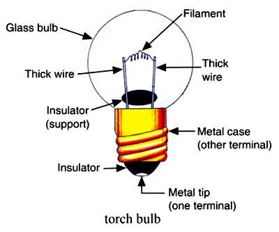 torch bulb