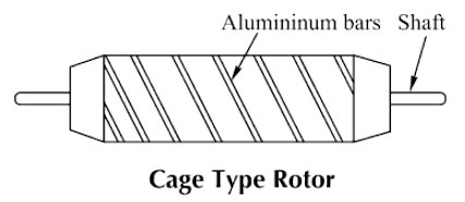 cage type rotor