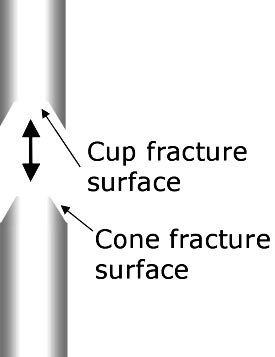 cup cone structure